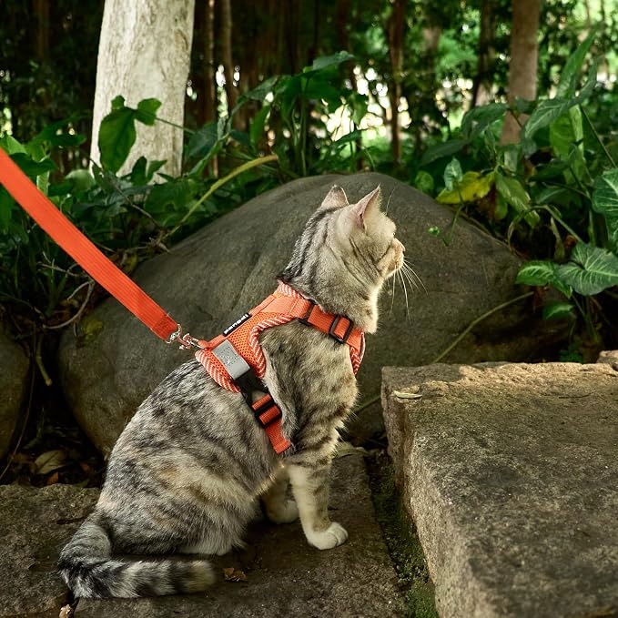 Cat Harness and Leash Escape Proof Medium Kitten Harness Bengal Cat Vest - Image 8
