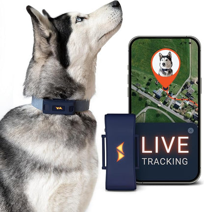 PAJ GPS Dog Tracker - 4G Real-Time Tracking & Runaway Alerts - Waterproof by PAJGPS