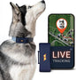 PAJ GPS Dog Tracker - 4G Real-Time Tracking & Runaway Alerts - Waterproof by PAJGPS