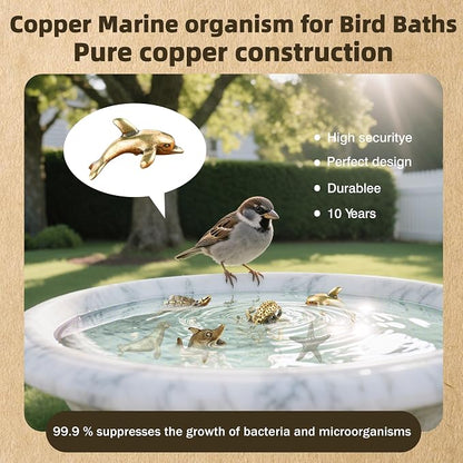 6 Pcs Copper Bath Disks Ornaments Mini Ocean Animal Shape– Starfish Turtle - Image 2