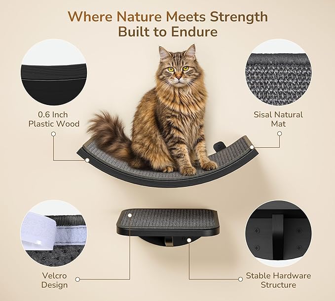 Wall Mounted Curved Cat Hammock - Image 3