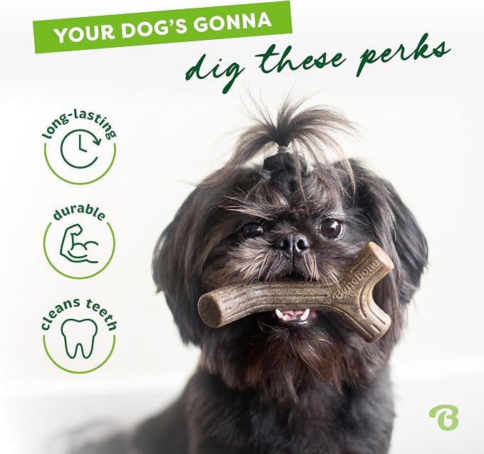 Benebone Maplestick Durable Dog Chew Toy - Image 3