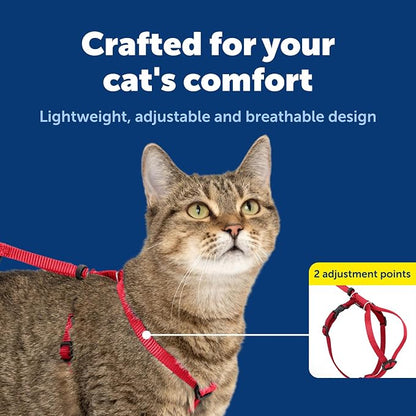 PetSafe Come With Me Kitty Cat Harness & Bungee Leash - Image 5