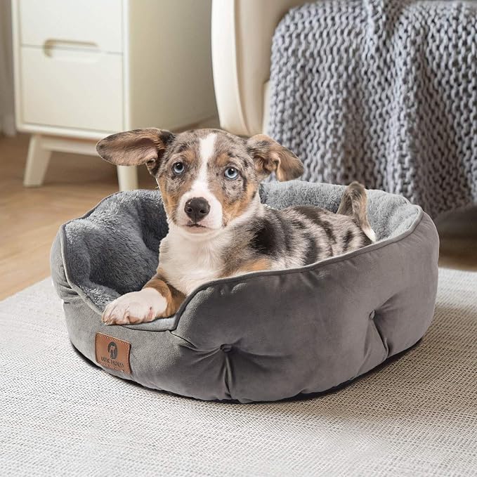 Asvin Medium Dog Bed for Medium Dogs, Cat Beds for Indoor Cats, Pet Bed for - Image 2