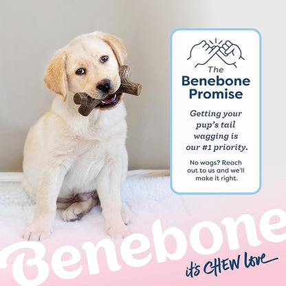 Benebone Puppy Maplestick Dog Chew Toy, Made in USA, Real Maple Wood Flavor - Image 6