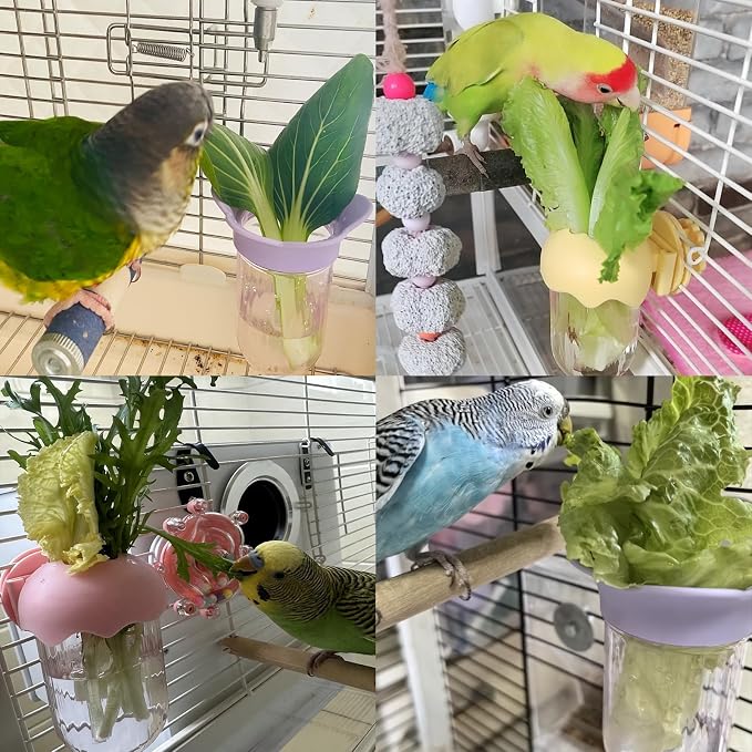 6 PCS Bird Cage Feeder for Vegetable Millet Holder Cage Accessories - Image 5