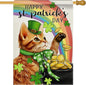 Dyrenson Happy St Patricks Day Orange Cat 28 x 40 House Flag Double Sided by Dyrenson