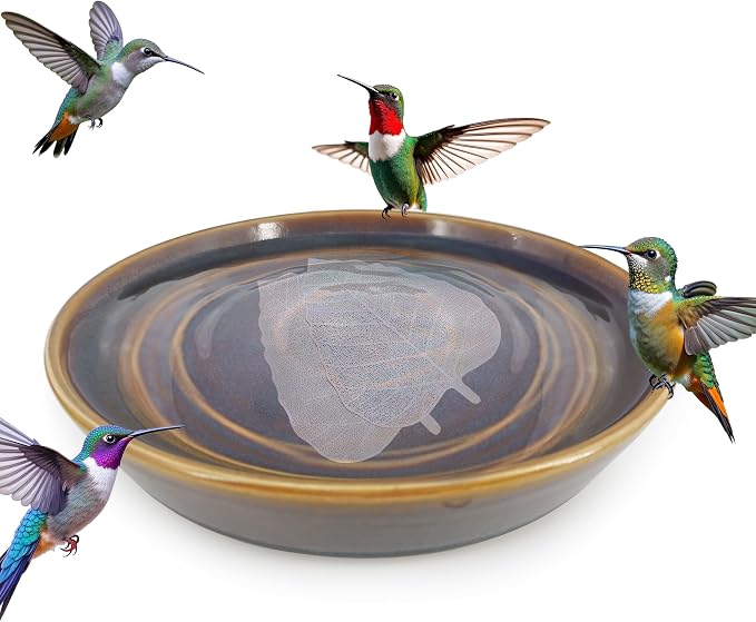 RONDURE 2 pcs Bird Bath Purification Disk 4 Inch Bird Bath Water Cleaner Disk - Image 2