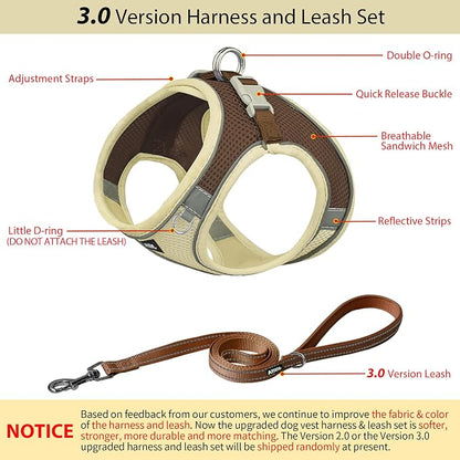 AIITLE Easy Walk Dog Harness and Leash Set - Image 3