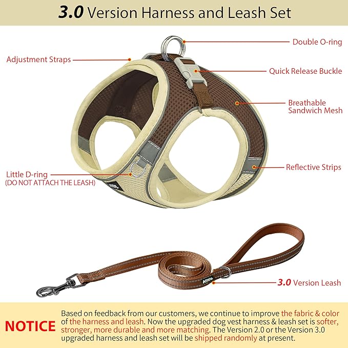 AIITLE Step in Dog Harness and Leash Set - Image 3
