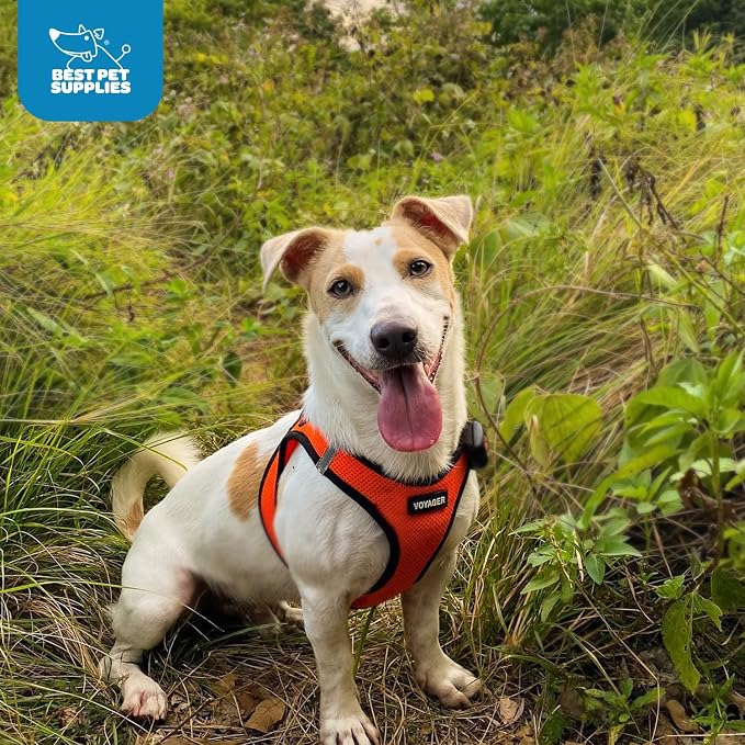 Best Pet Supplies Voyager Step-in Air Harness - Image 9