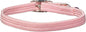 Kool Kat Elastic Cat Safety Collar by OmniPet%C2%AE