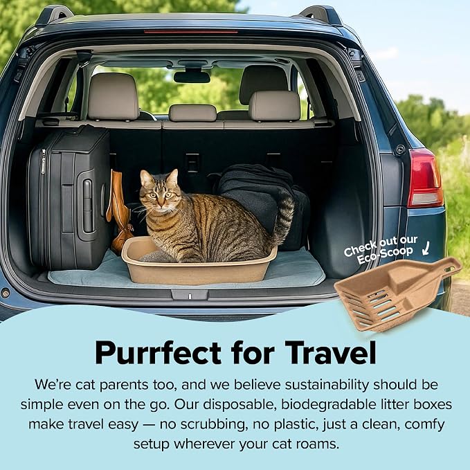 Kitty Sift Disposable Cat Litter Box Large, Durable Portable - Image 6