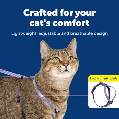 PetSafe Come With Me Kitty Cat Harness & Bungee Leash - Image 4