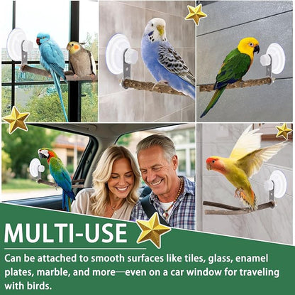 2 Pcs Natural Bird Perch Stand - Image 6