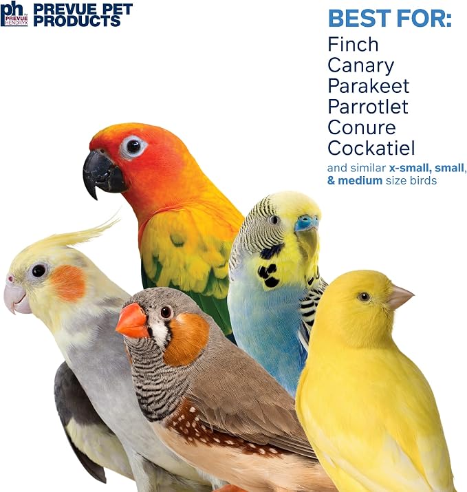 Birds of Paradise Swing - Image 4