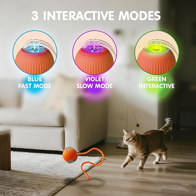 Rocfish Interactive Cat Toy for Indoor Cat, Smart Automatic Cat Chase Ball Toy - Image 4