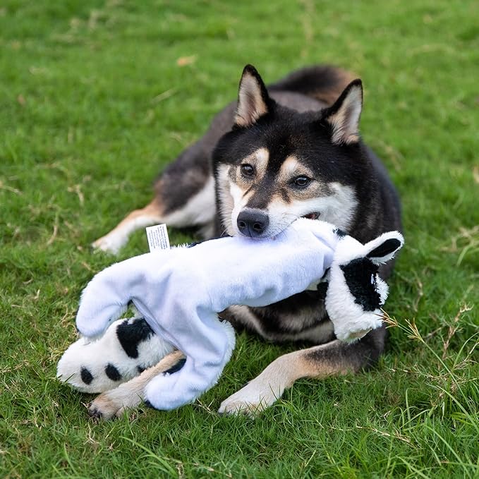 Best Pet Supplies Squeaky Dog Toys - Image 6