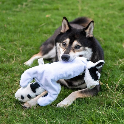 Best Pet Supplies Squeaky Dog Toys - Image 6