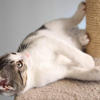 Cat Scratching Post with Carpeted Base - Image 5