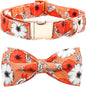 Fall Dog Collar, Pet Collar Bow Floral Pet Collar Girl Boy Holiday Collars Gift by BoboRainbow
