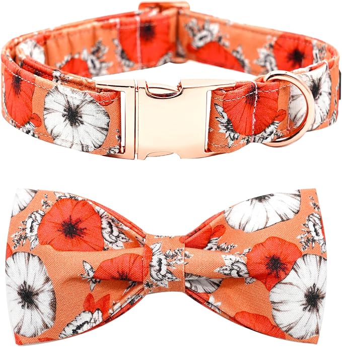 Fall Dog Collar, Pet Collar Bow Floral Pet Collar Girl Boy Holiday Pet Collars by BoboRainbow