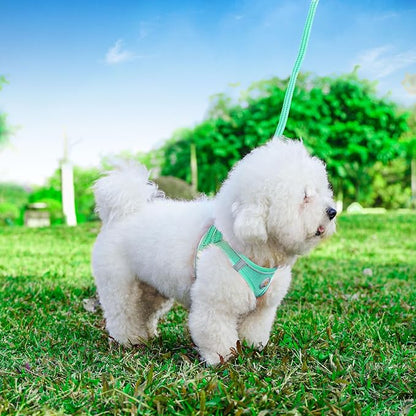Hipubby Dog Harness and Leash Set, No Pull Soft Mesh Puppy Harness - Image 5