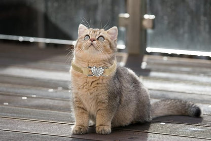 Heart Bling Cat Collar with Safety Belt and Bell Adjustable 8-10 inches - Image 5