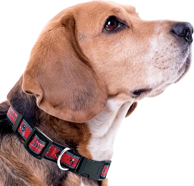 Pets First NFL Tampa Bay Buccaneers Licensed PET COLLAR, Large - Image 4