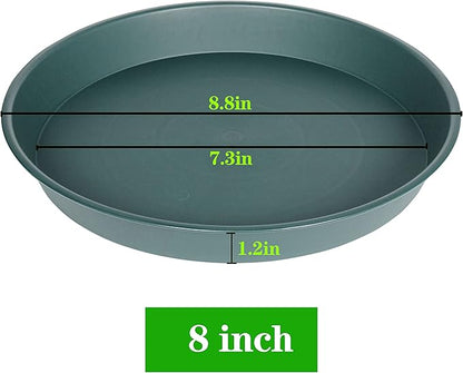 2 Pack of 8 inch Plant Saucer Clear, Heavy Duty Plastic Plant Water Tray 8 inch - Image 2