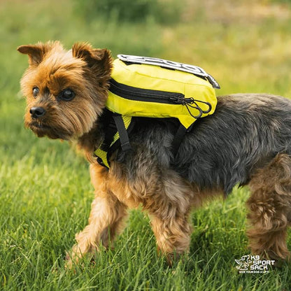 K9 Sport Sack Walk-On - Image 5