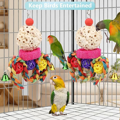 Wontee Bird Toys 3 Pack Parrot Foraging Hanging Toys Sola Ball Natural Nuts - Image 4