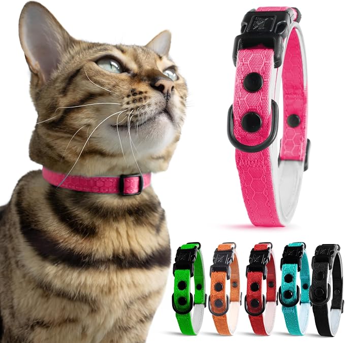OutdoorBengal Pink Cat Collar Breakaway by OutdoorBengal