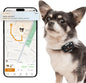 Pawfit Lite for Small Dogs 4g GPS Tracker | Real Time Tracking | Activity by Pawfit