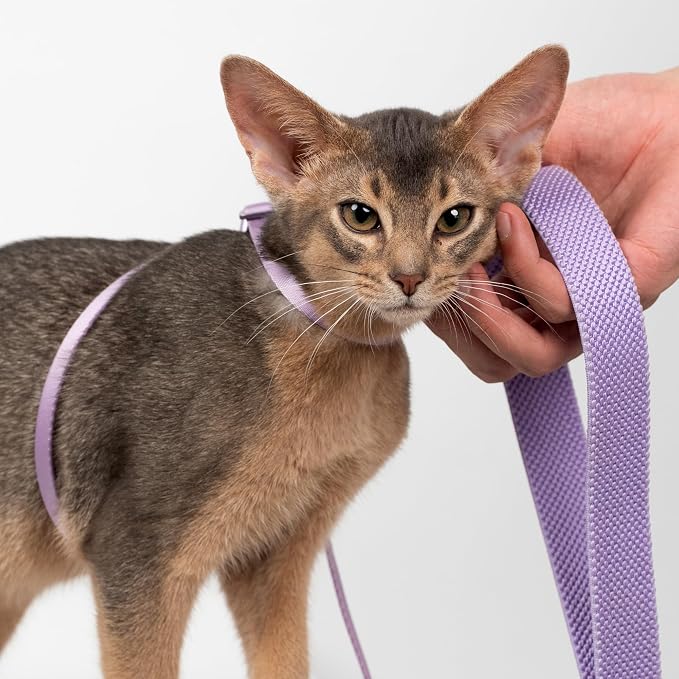 Cat Harness and Leash 2-in-1, Escape Proof Anti-Chocking Harness Adjustable - Image 7