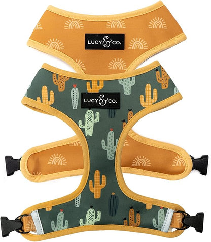 Lucy & Co. Looking Sharp, Cute Reversible Dog Harness Walking Halter by LucyCo