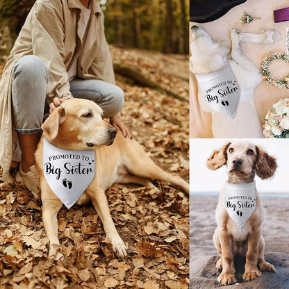 Promoted to Big Sister Pregnancy Announcement Dog Bandana Baby Gender Reveal - Image 6