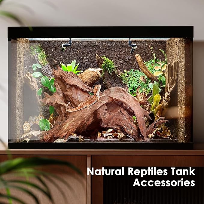 Jorewood Natural Small Aquarium Driftwood - Image 6
