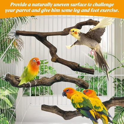 kathson 3pcs Natural Parrot Perch - Image 6