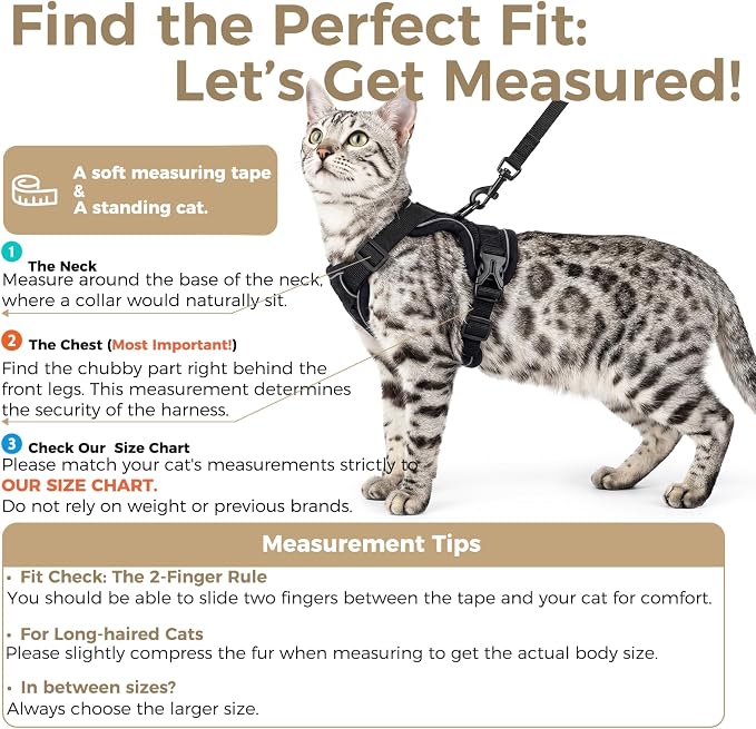 Cat Harness and Leash Set Escape Proof Tactical Large Kitten Harness Emotional - Image 2
