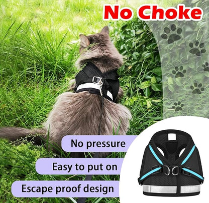Cat Harnesses and Puppy Harness - Image 3
