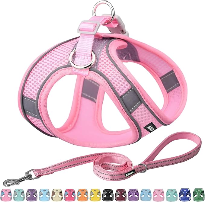 AIITLE Small Harness for Puppy by AIITLE-FORPETSBETTERLIFE