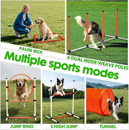 Dog Agility Course Backyard Set, Dog Agility Equipment, Pet obstacle Course - Image 5