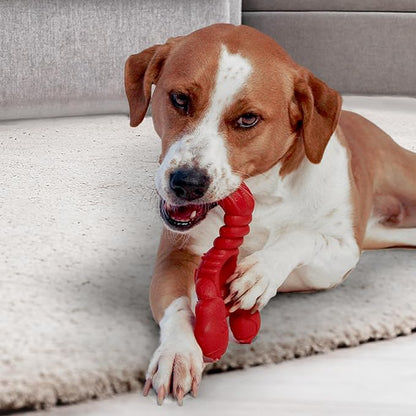 Nylabone Lobster Power Chew Toy - Image 14