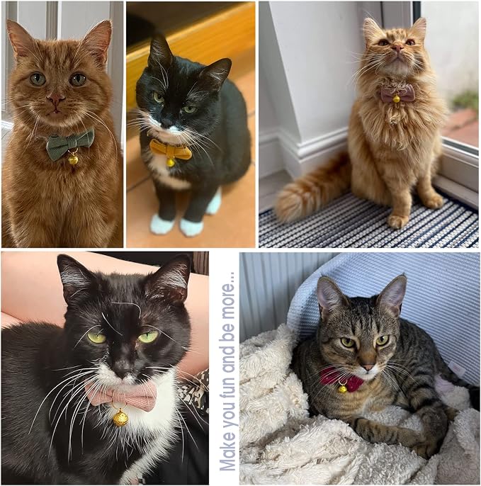Safety Quick Release Cat Collars, Soft Kitten Collars - Image 3