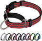 Martingale Dog Collar, Adjustable Nylon Reflective Collar by JOYEEIIOO