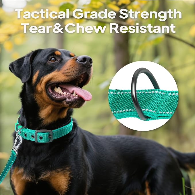 PetiFine Dog Collars for Small Dogs, Neoprene Padded Dog Collar, Reflective - Image 6