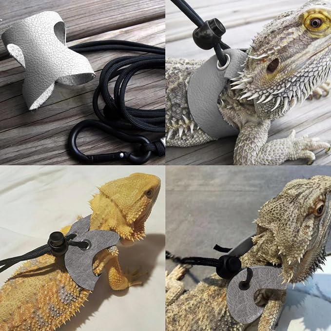 Leopard Gecko Portable Carrier - Image 6