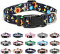 Mercano Adjustable Dog Collar by Unknown