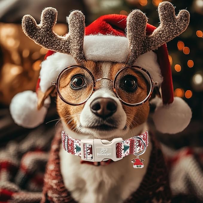 Christmas Dog Collar for Puppy Small Dogs - Image 6